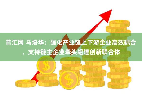 普汇网 马培华：强化产业链上下游企业高效耦合，支持链主企业牵头组建创新联合体